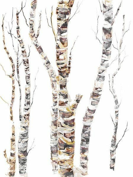 Calming Forest Ii – 36″X48″ (Frameless) Accents & Decor