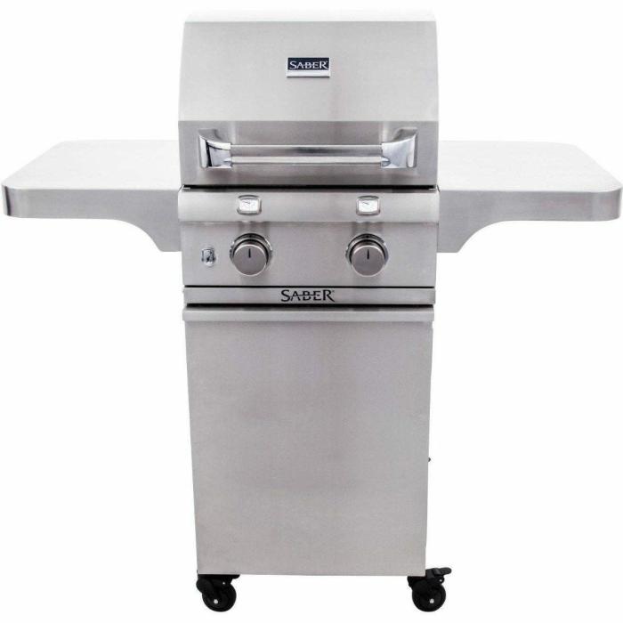 Cast Stainless 330 2-Burner Propane Gas Grill Gas Grills