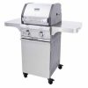 Cast Stainless 330 2-Burner Propane Gas Grill Gas Grills