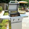 Cast Stainless 330 2-Burner Propane Gas Grill Gas Grills