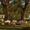 Montecito Seating Set Outdoor